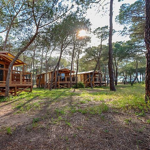 Camping La Tamarissière - Hérault - Afbeelding N°4