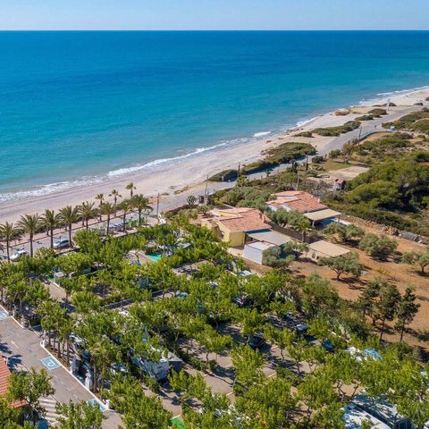 Camping Playa Tropicana - Castellón - Afbeelding N°3