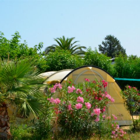 Kampeerplaats - Camping