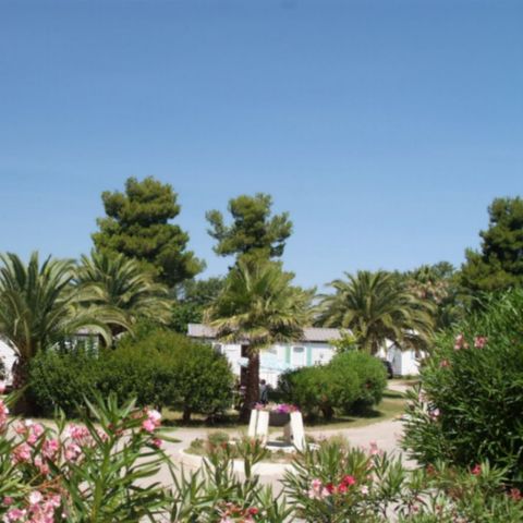 Kampeerplaats - PREMIUM