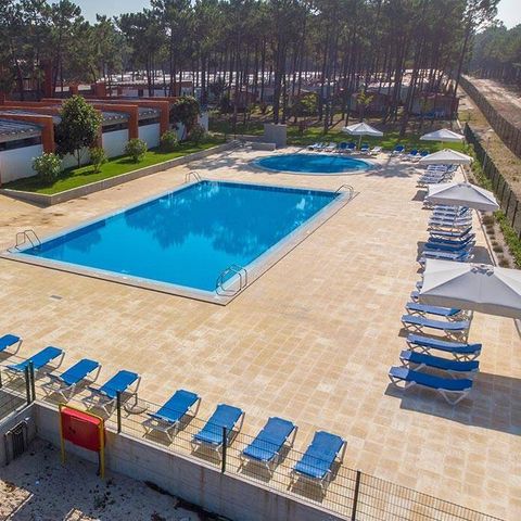 Camping Orbitur Vagueira - Midden-portugal - Afbeelding N°2