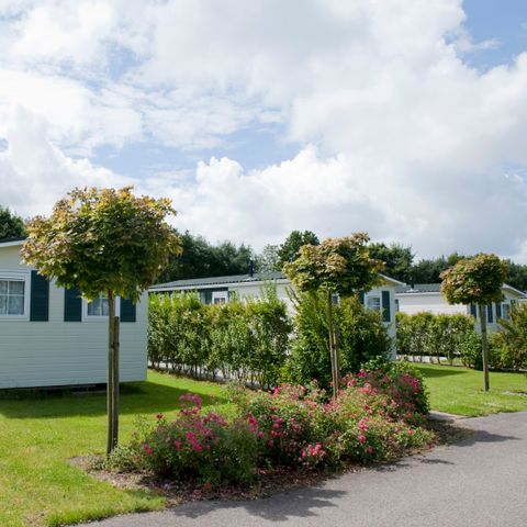Chalet 5 personen - Bevelander