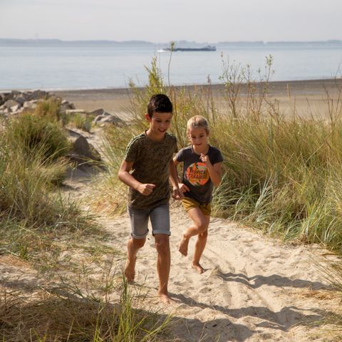 Camping Scheldeoord - Borsele - Afbeelding N°3