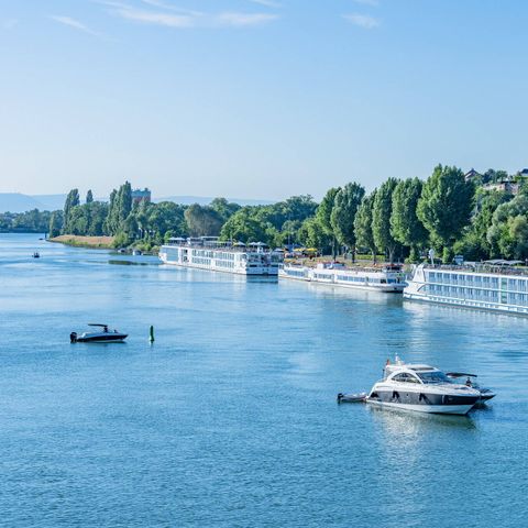 Camping L'Île du Rhin - Haut-Rhin - Afbeelding N°3