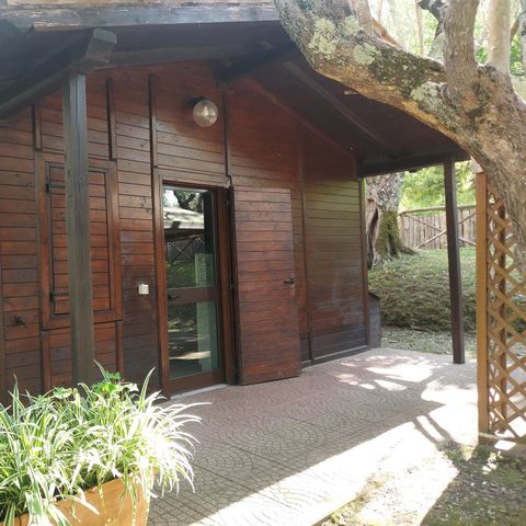 Chalet 4 personen - CHALET 4 personen