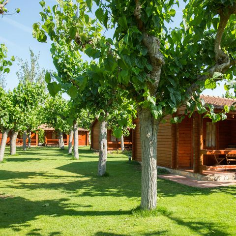 Bungalow 5 personen - Mestral