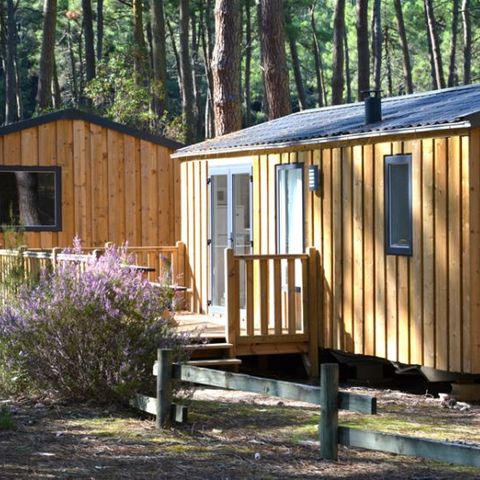 Stacaravan 6 personen - COTTAGE PREMIUM - Les Genêts | 4-6 pers.