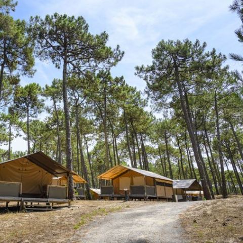 Safaritent 5 personen - Lodge Confort 4-5 personen - Canvas & Hout - 30 m² - 2 slaapkamers - Elektriciteit - Badkamer