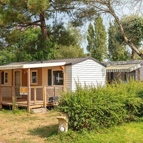 Stacaravan 6 personen - Stacaravan | Comfort | 3 Slaapkamers | 6 Pers. | Verhoogd terras