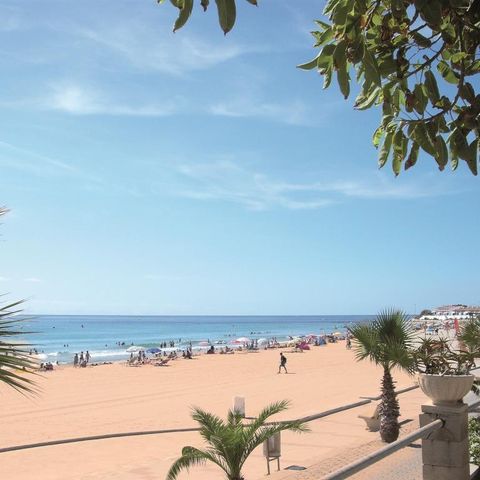 Camping Alannia Costa Dorada - Tarragona - Afbeelding N°3