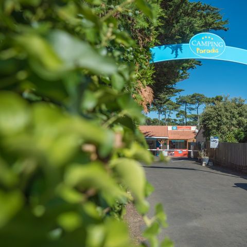 Camping Paradis - La Pomme de Pin - Vendée - Afbeelding N°3