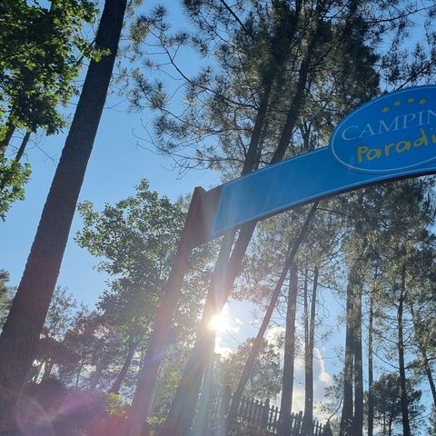 Camping Paradis - Bois Simonet - Ardèche - Afbeelding N°2