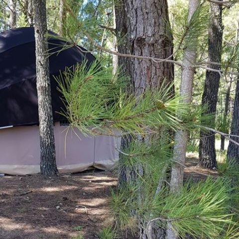 Tent 4 personen - Bulle Etoile d'Ardèche 4P