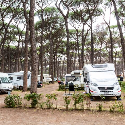 STAANPLAATS - Camper, Tent-aanhangwagen, Caravan
