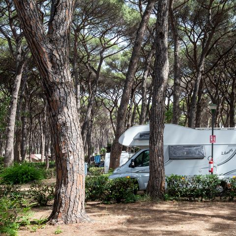 STAANPLAATS - Camper, Tent-aanhangwagen, Caravan