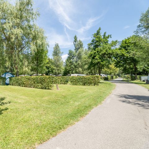 Kampeerplaats - Comfort standplaats pakket