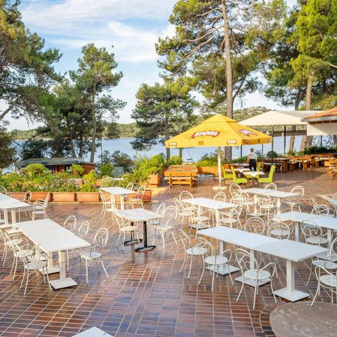 Camping Poljana  - Istrië - Afbeelding N°4