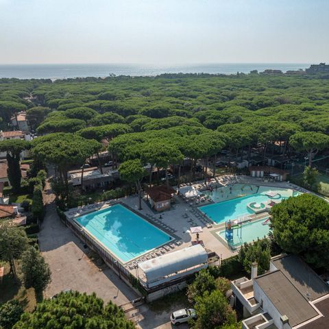 Camping Mare e Pineta - Ferrara - Afbeelding N°3