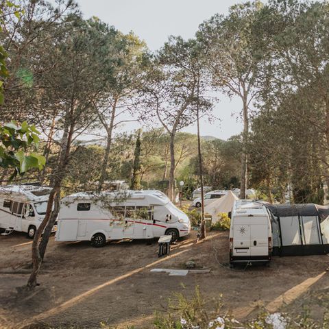 Kampeerplaats - XXL-locatie