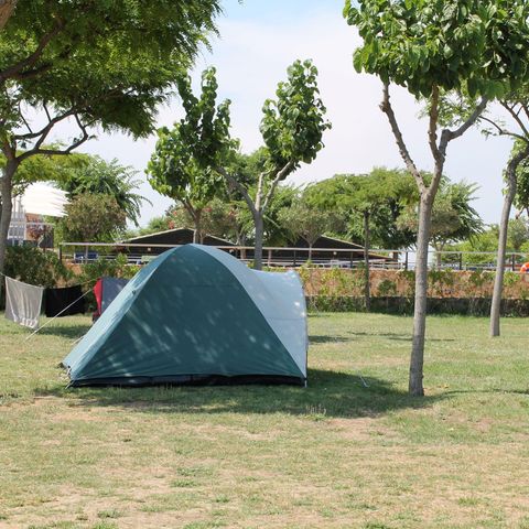 Kampeerplaats - Standplaats : auto + tent of caravan + elektriciteit 2/8 pers