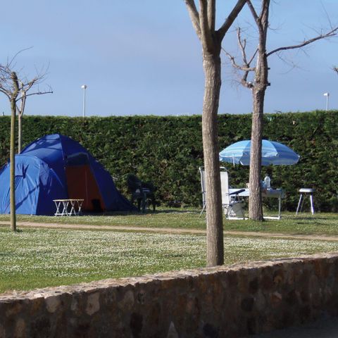 STAANPLAATS - Standplaats : auto + tent of caravan + elektriciteit 2/8 pers
