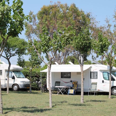 STAANPLAATS - Standplaats : auto + tent of caravan + elektriciteit 2/8 pers