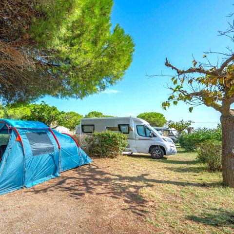 Kampeerplaats - Ciela Comfort standplaats pakket