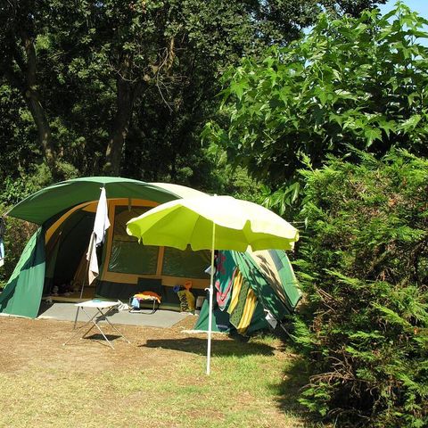 STAANPLAATS - Standplaats | Essentieel | Alleen tent | <100m² | Elektriciteit | Geen water