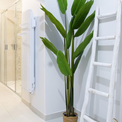 VAKANTIEHUIS 4 personen - Cardabelle