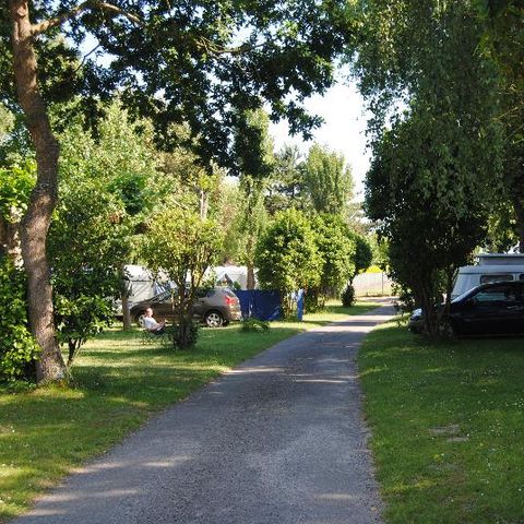 Kampeerplaats - Water- en afvoeraansluiting + auto + warme douches + 10A elektriciteit