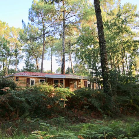 LODGE 6 personen -  Cottage Loggia "Boszicht" 6p - 3 slaapkamers - TV - Airconditioning