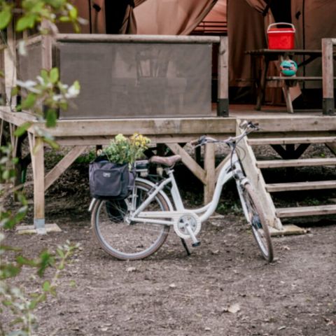 UNIEKE ACCOMMODATIE 4 personen - Ongewoon SYLODGE 2bed 4pers
