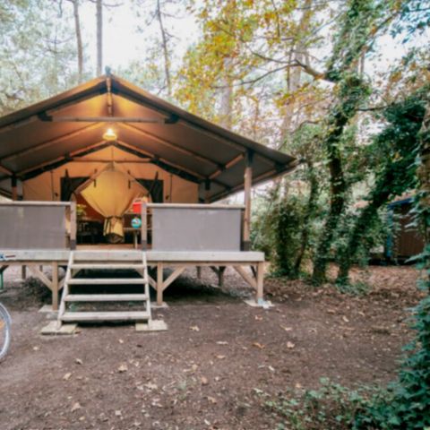 UNIEKE ACCOMMODATIE 4 personen - Ongewoon SYLODGE 2bed 4pers
