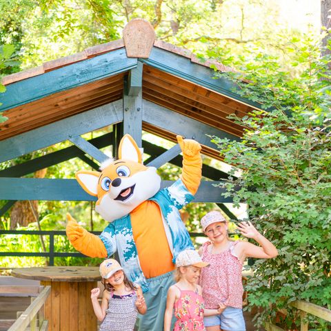 Camping Landae - Landes - Afbeelding N°5