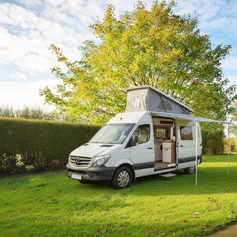 STAANPLAATS - Standplaats | Tent | Voertuig -7m | <85m² | Elektriciteit | Geen water