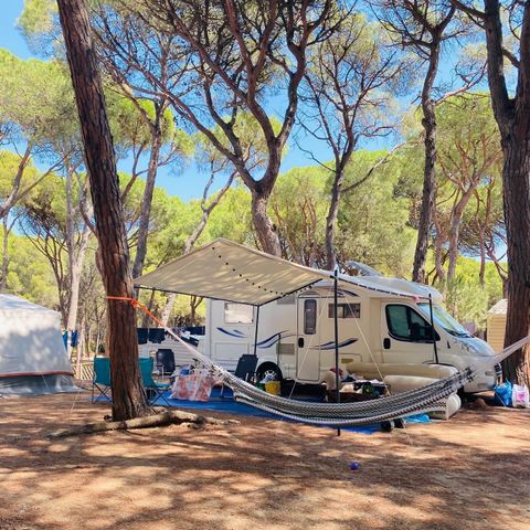 STAANPLAATS - Standaard Comfort standplaats (60-75m2): auto + caravan of camper of tent + elektriciteit