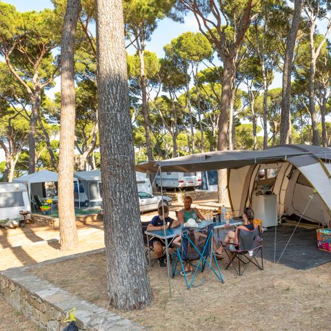STAANPLAATS - Standaard Comfort standplaats (60-75m2): auto + caravan of camper of tent + elektriciteit