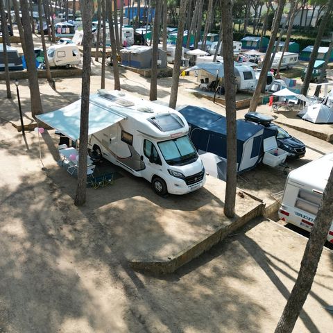 STAANPLAATS - Standaard Comfort standplaats (60-75m2): auto + caravan of camper of tent + elektriciteit
