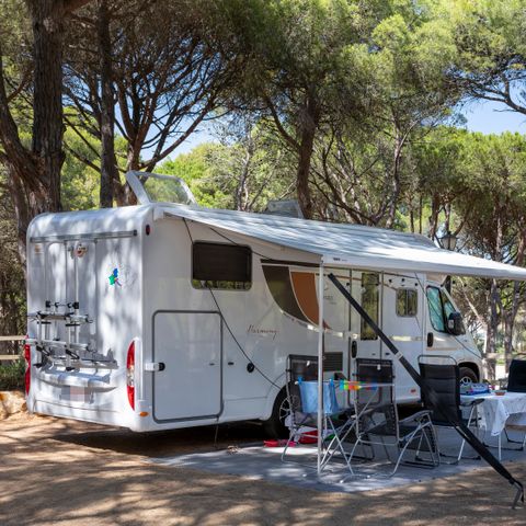 STAANPLAATS - Standaard Comfort standplaats (60-75m2): auto + caravan of camper of tent + elektriciteit