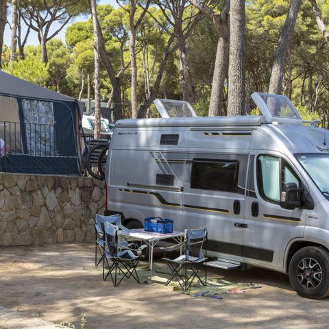 STAANPLAATS - Standaard Basis (45-60m2): auto + caravan of camper of tent + elektriciteit