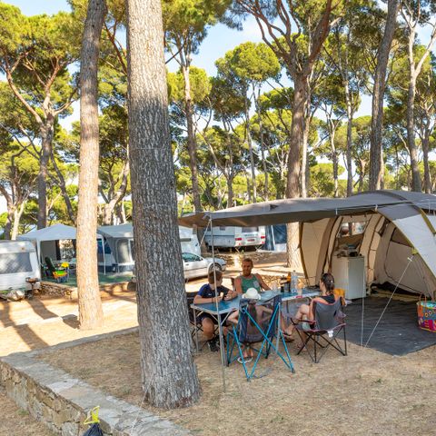 STAANPLAATS - Standaard tentplaats (40-55m2): auto + tent + elektriciteit