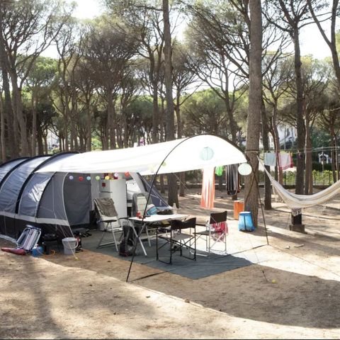 STAANPLAATS - Standaard tentplaats (40-55m2): auto + tent + elektriciteit