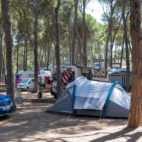 STAANPLAATS - Standaard tentplaats (40-55m2): auto + tent + elektriciteit