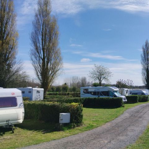 STAANPLAATS - Comfortplaats - kampeerplaats -  met stroom - max. 5 personen