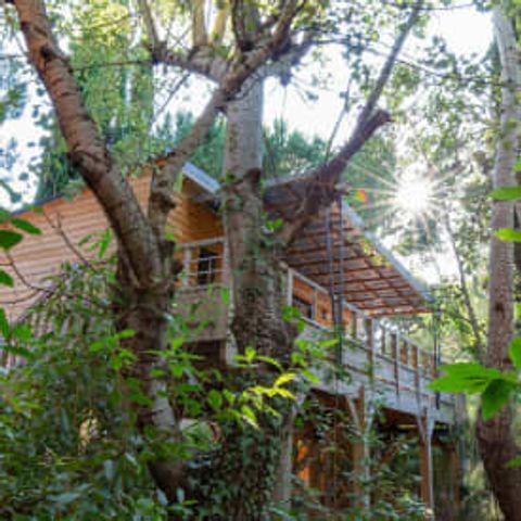 Chalet 6 personen - Chalet 6p 3ch ****