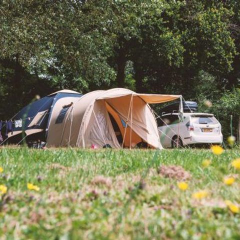 STAANPLAATS - Standaard 100-150m² TENT