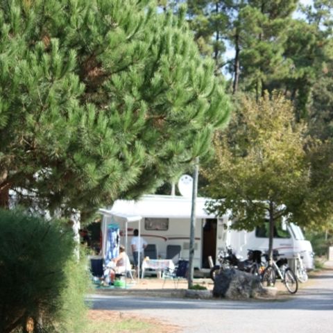 Kampeerplaats - Comfortpakket (1 tent, caravan of camper / 1 auto / 10A elektriciteit)