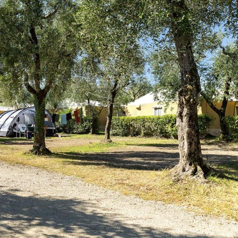 Kampeerplaats - Standaard standplaats - 60m² - 4 AMP