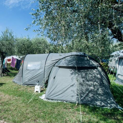 Kampeerplaats - Standaard standplaats - 60m² - 4 AMP