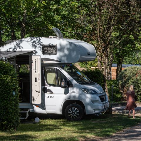 Kampeerplaats - COMFORT LOCATIE